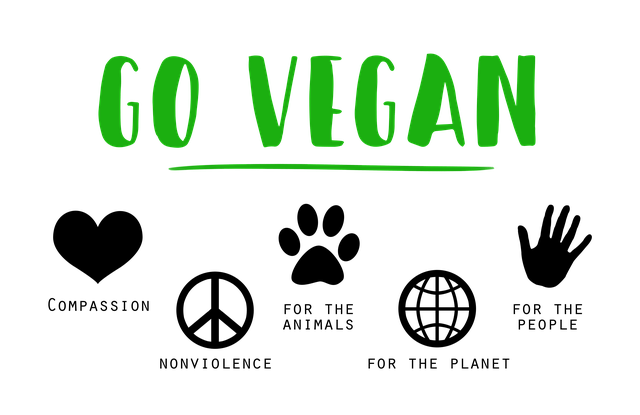 Popeyes Goes Plant-Based: Explore the Vegan Options